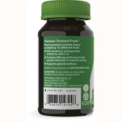 Orchard Fruits