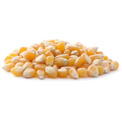 Certified Organic Popcorn