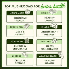 Full Spectrum 14 Mushroom Complex