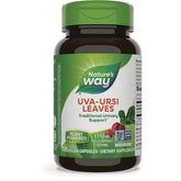 Uva Ursi Leaves