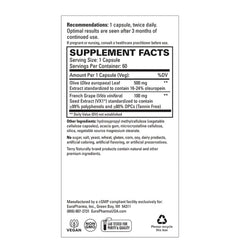Blood Pressure Health