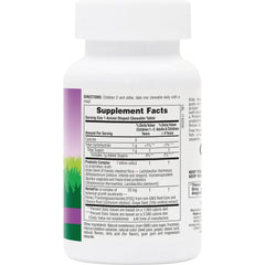 Animal Parade AcidophiKidz Childrens Chewable Probiotic - Berry