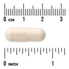 Full Spectrum Onion Bulb
