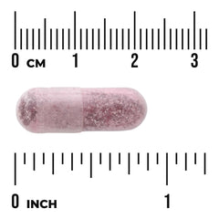 Womens Daily Probiotic + Prebiotic FOS
