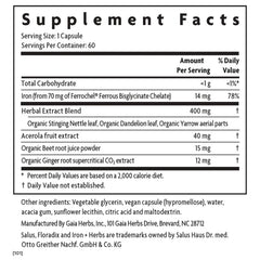 Floradix Iron + Herbs