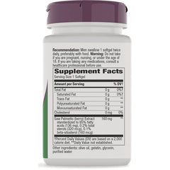 Saw Palmetto