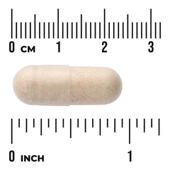 Prostate Essentials