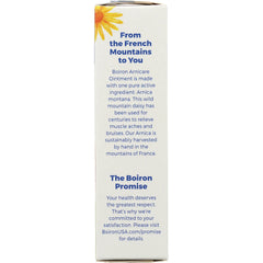 Arnicare Ointment - Fragrance-Free