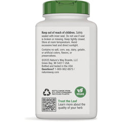 Fenugreek Seed