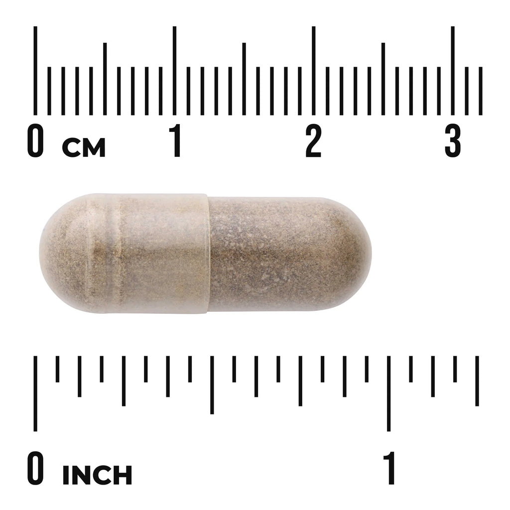Pure Brainpower
