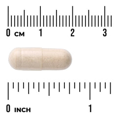 Blueberry Extract - Standardized