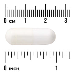 Albion Calcium & Magnesium