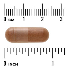 Full Spectrum Cats Claw