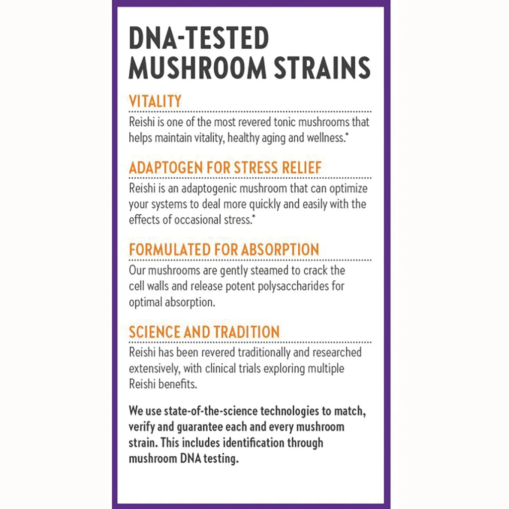 Reishi Mushroom Blend
