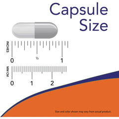Acetyl L-Carnitine