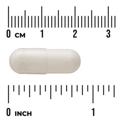 Mens Daily Probiotic + Prebiotic FOS