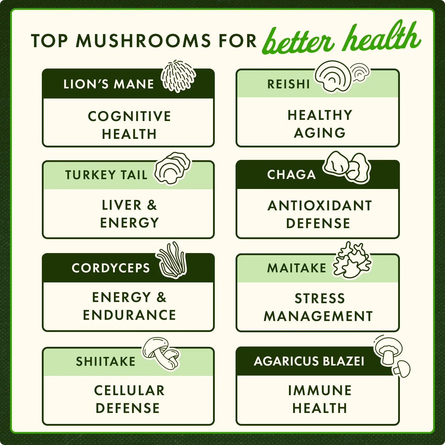 Full Spectrum 7 Mushroom Complex