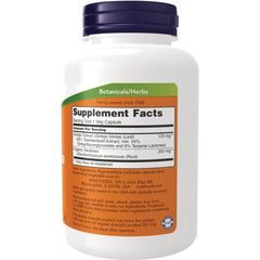 Double Strength Ginkgo Biloba