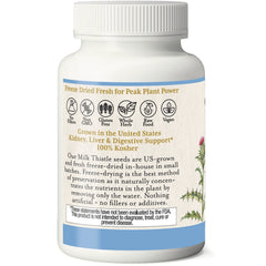 Milk Thistle