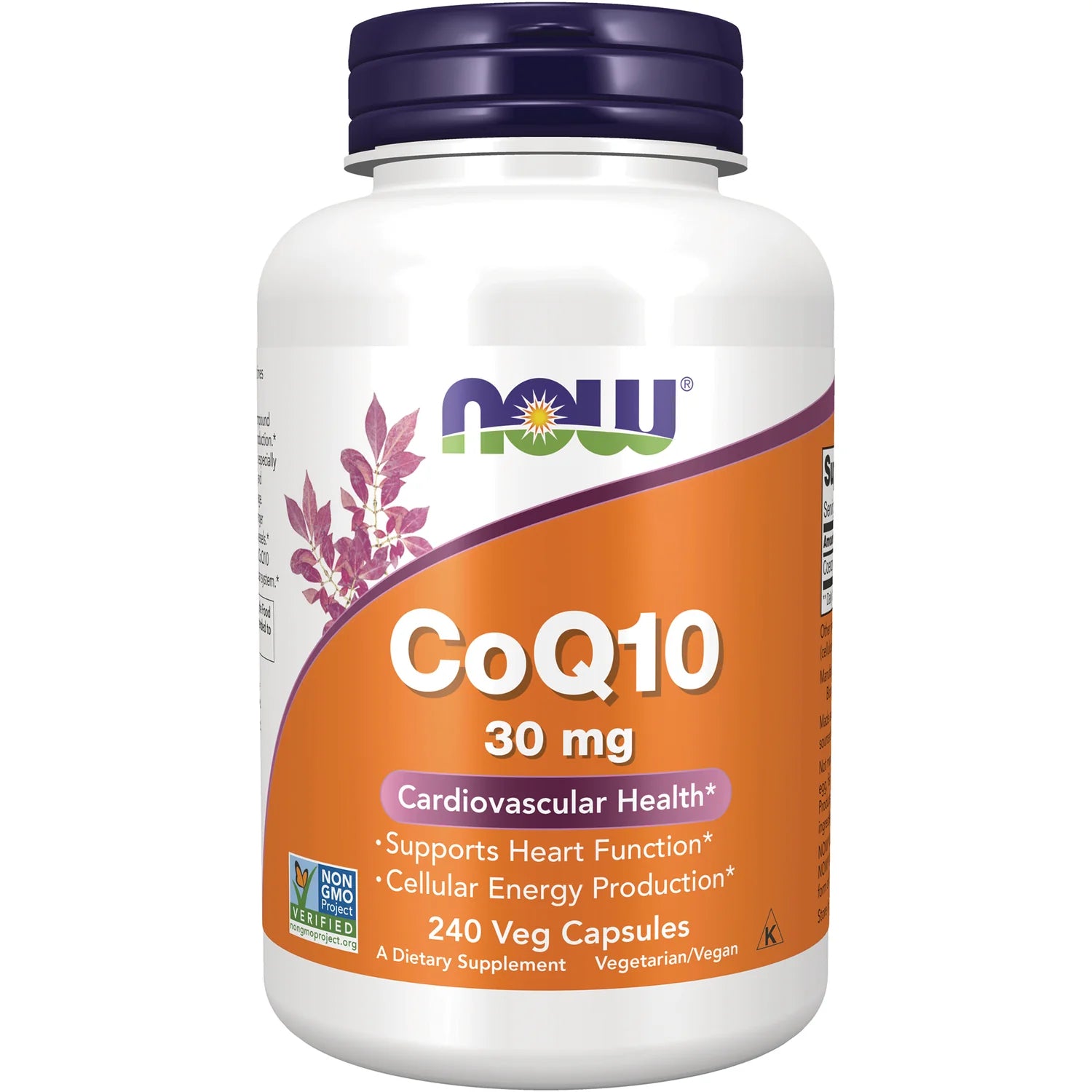 CoQ10