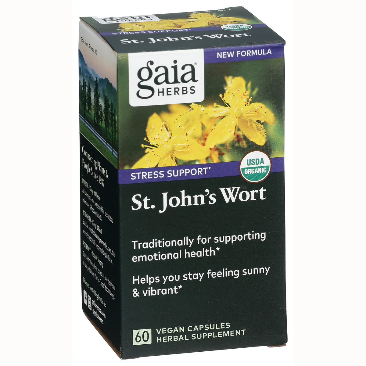 St. Johns Wort