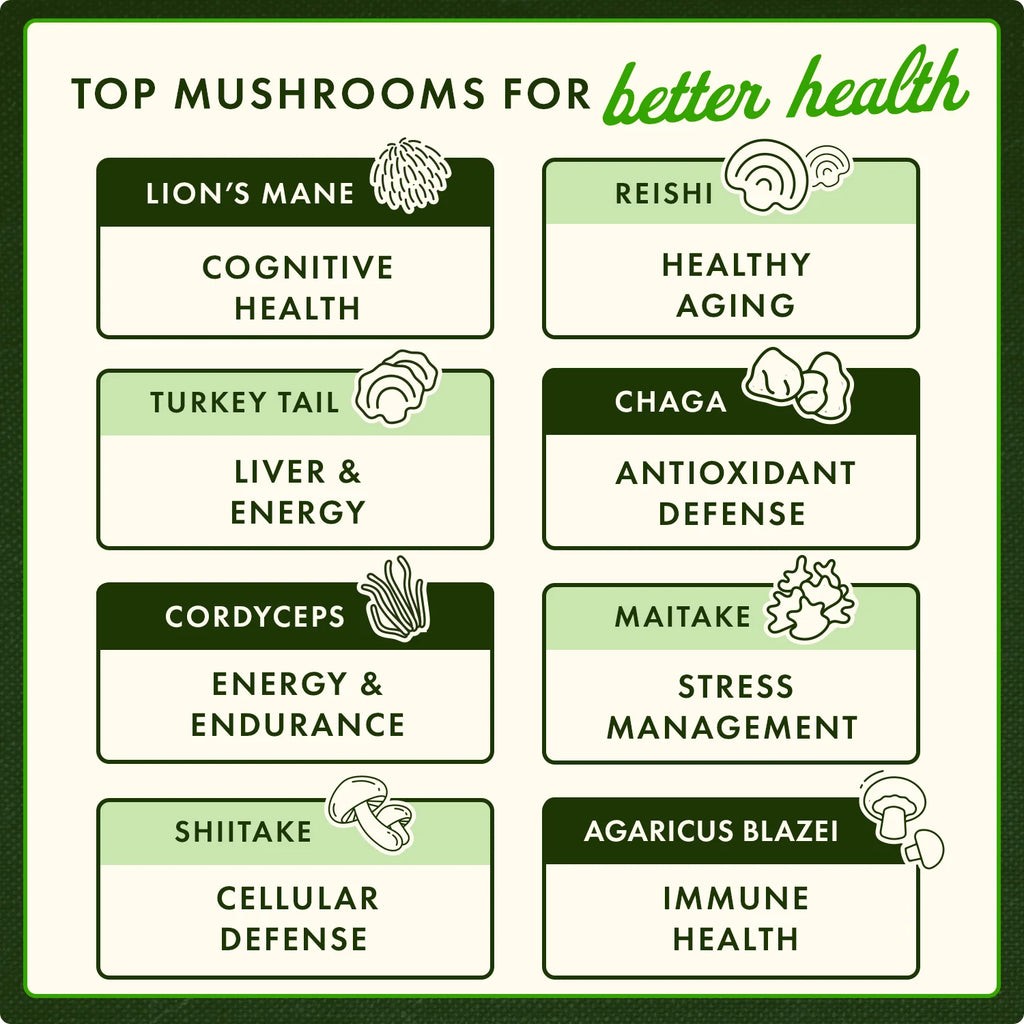 Triple Mushroom Complex - 3 Mushroom Formula