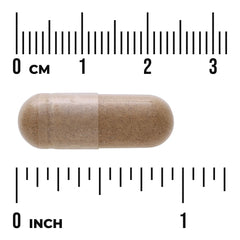 Black Cohosh - Standardized