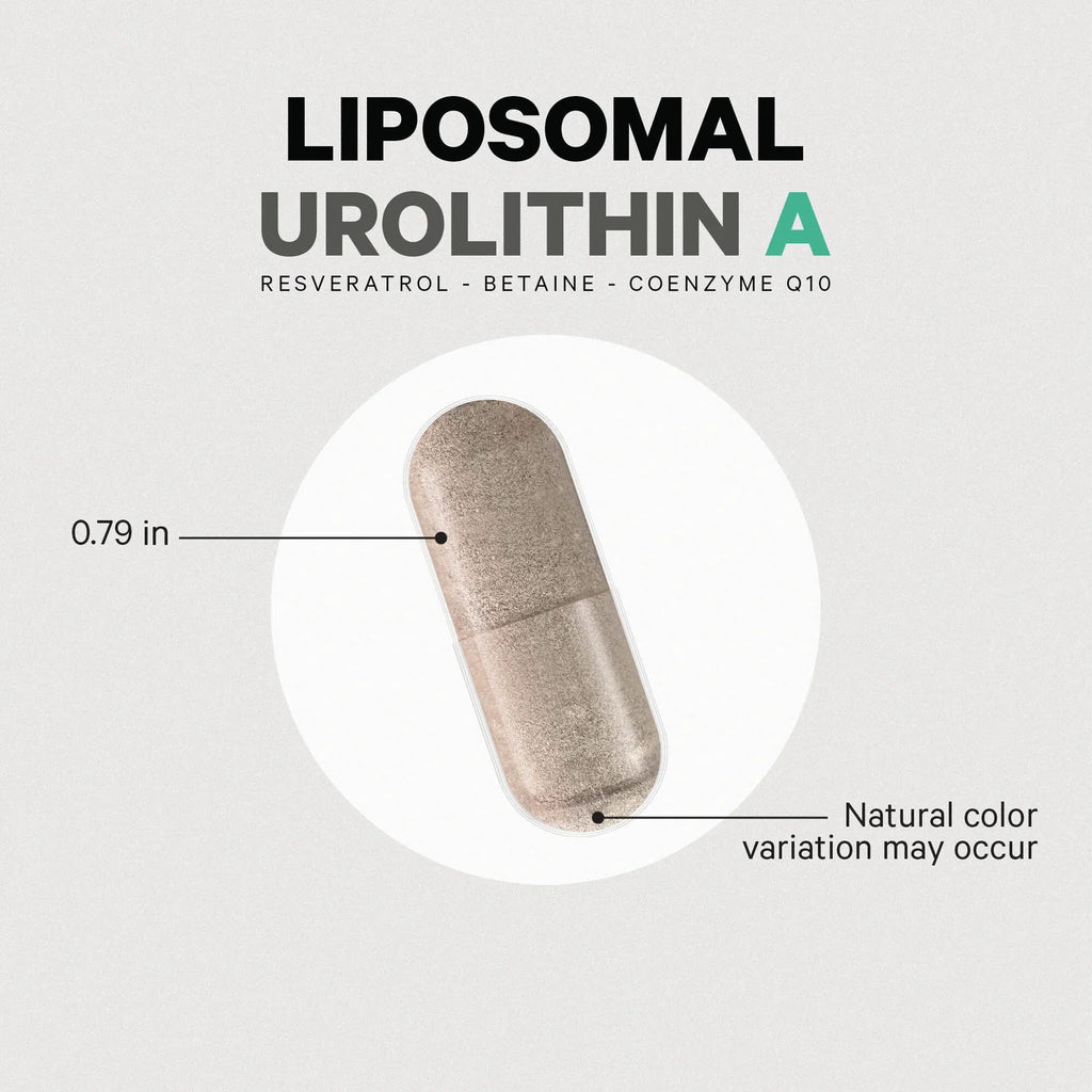 Liposomal Urolithin A