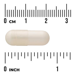 Acetyl L-Carnitine HCl