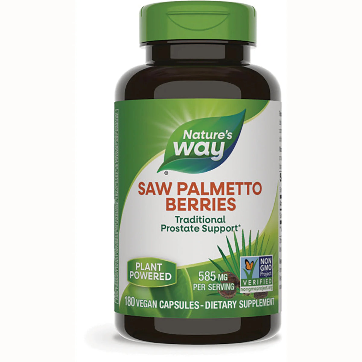 Saw Palmetto Berries