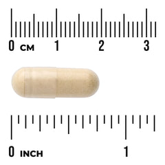 NeuroSilk
