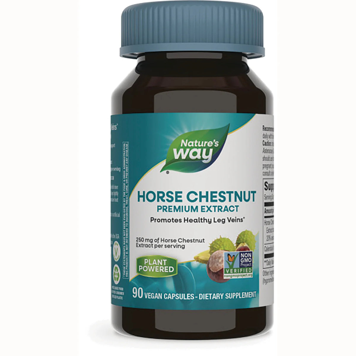 Horse Chestnut