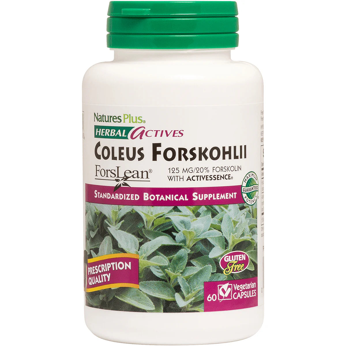 Herbal Actives Coleus Forskholii