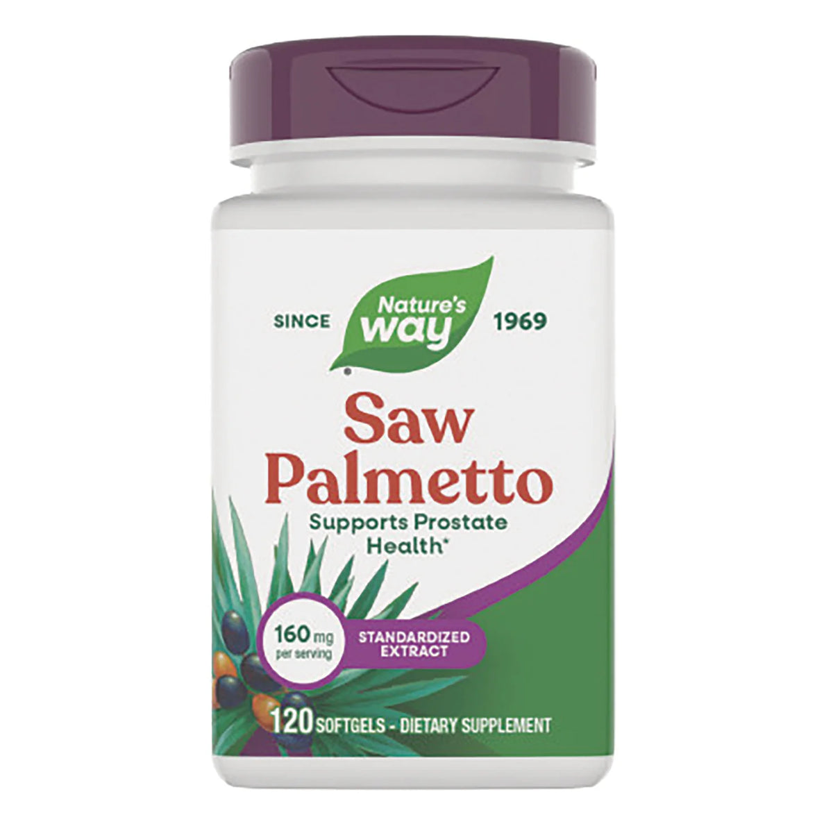 Saw Palmetto